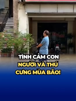 [🆕🇻🇳] Moon’s House 🐶🦜 Top1Pets 🐱🐠 Mất gì rồi cũng sẽ kiếm tiền mua lại được không nhanh thì chậm, nhưng nếu mất đi mạng sống tụi nó thì dù nhanh hay chậm hay bao nhiêu tiền có thể kiếm được , shares-0✔️ , likes-15❤️️ , date-2025-09-29 23:49:42🐶🐱🇻🇳🇻🇳🇻🇳📰🆕