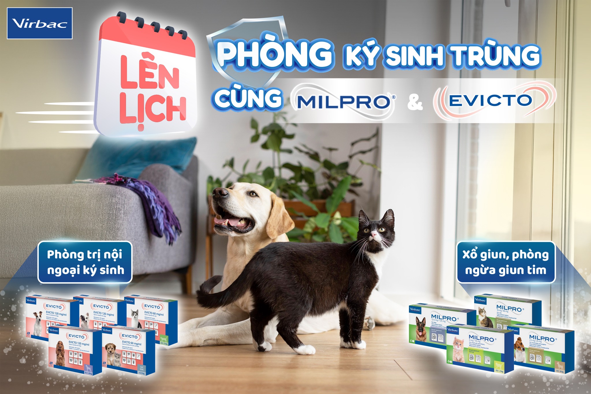 [🆕🇻🇳] Chocohome – Tiệm làm đẹp thú cưng 🐶🦜 Top1Pets 🐱🐠 Sorry con trai nuiiiii Leo nhóa
, shares-0✔️ , likes-3❤️️ , date-2025-10-02 04:17:27🐶🐱🇻🇳🇻🇳🇻🇳📰🆕