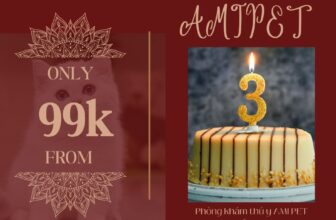 [🆕🇻🇳] Phòng khám thú y AMI PET Tân An 🐶🦜 Top1Pets 🐱🐠  SIÊU ƯU ĐÃI THIẾN/TRIỆT SẢN – GIÁ RẺ BẤT NGỜ
NHÂN NGÀY SINH NHẬT AMIPET TRÒN 3 TUỔIBạn đang băn khoăn về chi phí triệt sản/thiến cho bé cưng? Đừ , shares-0✔️ , likes-2❤️️ , date-2025-10-04 19:04:34🐶🐱🇻🇳🇻🇳🇻🇳📰🆕