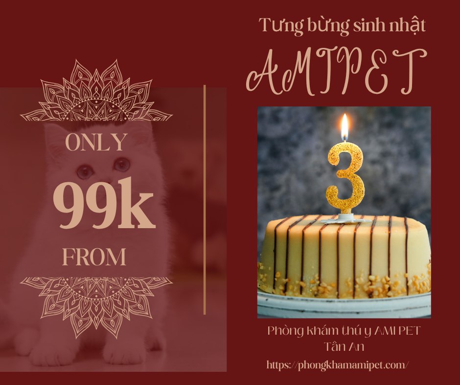 [🆕🇻🇳] Phòng khám thú y AMI PET Tân An 🐶🦜 Top1Pets 🐱🐠  SIÊU ƯU ĐÃI THIẾN/TRIỆT SẢN – GIÁ RẺ BẤT NGỜ
NHÂN NGÀY SINH NHẬT AMIPET TRÒN 3 TUỔIBạn đang băn khoăn về chi phí triệt sản/thiến cho bé cưng? Đừ , shares-0✔️ , likes-2❤️️ , date-2025-10-04 19:04:34🐶🐱🇻🇳🇻🇳🇻🇳📰🆕