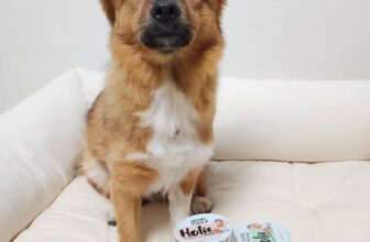 [🆕🇻🇳] Samyang Anipharm Việt Nam  (Thế giới thú cưng) 🐶🦜 Top1Pets 🐱🐠  Nutri Plan Holic – Bữa ăn ướt chuẩn ngon, chuẩn khỏe cho cún cưng!Với hơn 40 năm kinh nghiệm làm Dongwon Tuna và 30 năm nghiên cứu pet food, Nutri Pla , shares-0✔️ , likes-7❤️️ , date-2025-09-30 18:16:34🐶🐱🇻🇳🇻🇳🇻🇳📰🆕