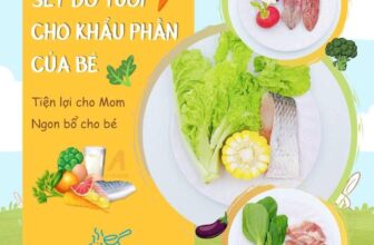 [🆕🇻🇳] Bếp của Mẹ 🍔 Top1Food  🍜 NGUYÊN LIỆU TƯƠI CÓ SẴN, MOM VÀO BẾP DỄ DÀNG
Giờ đây Mom có thể dễ dàng nấu bữa ăn tiêu chuẩn cho bé – thơm ngon – đủ dinh dưỡng
Đi chợ thì dễ, nhưng đi  , shares-1✔️ , likes-0❤️️ , date-2025-10-06 15:35:23🇻🇳🇻🇳🇻🇳📰🆕