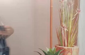 [🆕🇻🇳] Chuyên Sỉ Quảng Châu Tân Bình 👕 Top1Fashion 👗   , shares-0✔️ , likes-1❤️️ , date-2025-09-30 22:00:54🇻🇳🇻🇳🇻🇳📰🆕