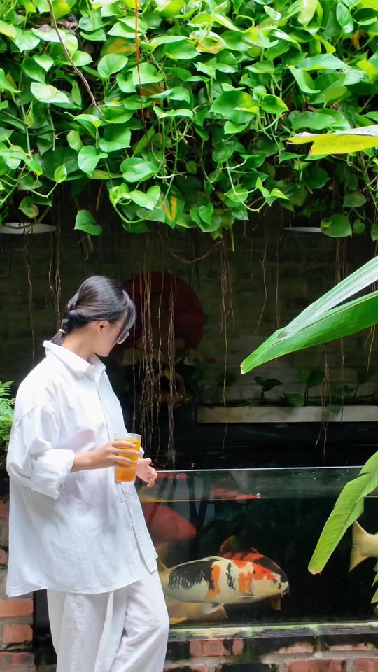 [☕️🇻🇳] TuTuCoffee Ninh Bình 🥤 Top1Coffee ☕️ “Hai cô Ninh Bình” ghé quán. , shares-0✔️ , likes-23❤️️ , date-2025-10-03 03:13:57🇻🇳🇻🇳🇻🇳📰🆕