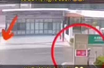 [🆕🇻🇳] SINH NHẬT RAU CÂU NƯƠNG VÕ – Nhân Flan trái cây 🍔 Top1Food  🍜 Về bỏ nghề hâhhha
, shares-0✔️ , likes-4❤️️ , date-2025-10-04 21:35:01🇻🇳🇻🇳🇻🇳📰🆕