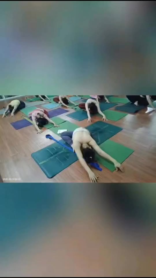 [🆕🇻🇳] Tố Trinh Yoga & Fitness  🧘 Top1Yoga 🤸🏻‍♀️  , shares-0✔️ , likes-0❤️️ , date-2025-10-02 05:50:33🇻🇳🇻🇳🇻🇳📰🆕