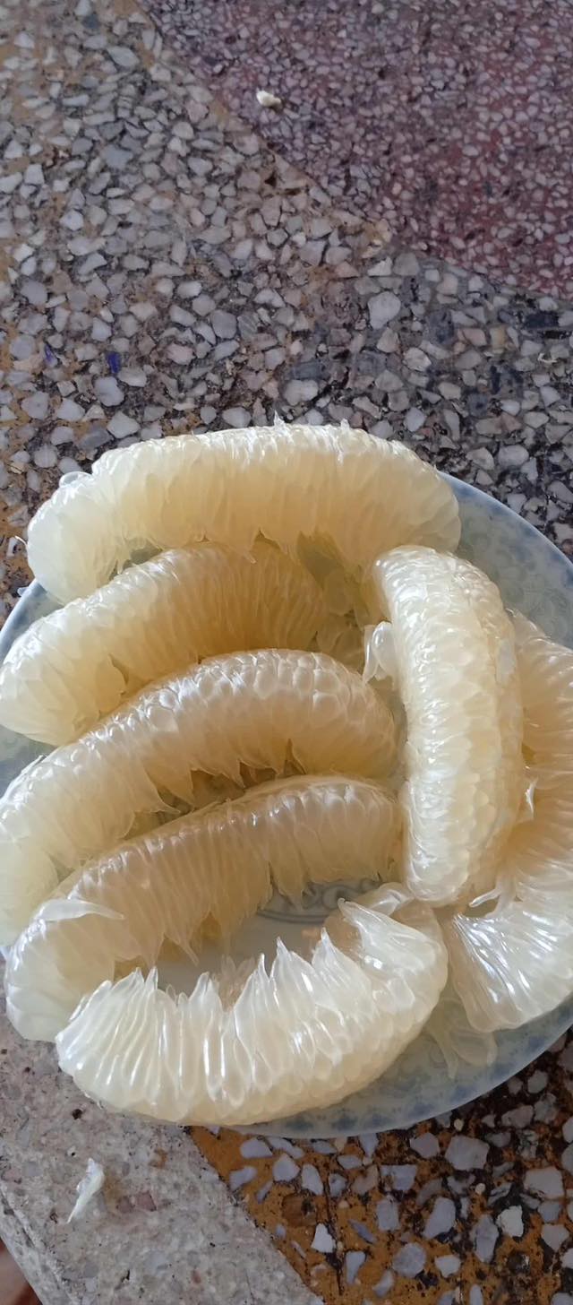 [🆕🇻🇳] Bích Phượng 2HAND – Chuyên si lẻ hàng Quảng Châu giá rẻ 1x 2x 3x 👕 Top1Fashion 👗  Giải cứu bưởi giúp ngoại
Ngoại e có ít bưởi chua   Và ngọt ngon
Tôm to ăn giòn mọng nước
Ce nào ăn ủng hộ ngoại e nhé
Rẻ lắm chỉ #7k  quả to #12k. thu , shares-0✔️ , likes-11❤️️ , date-2025-10-05 01:54:21🇻🇳🇻🇳🇻🇳📰🆕