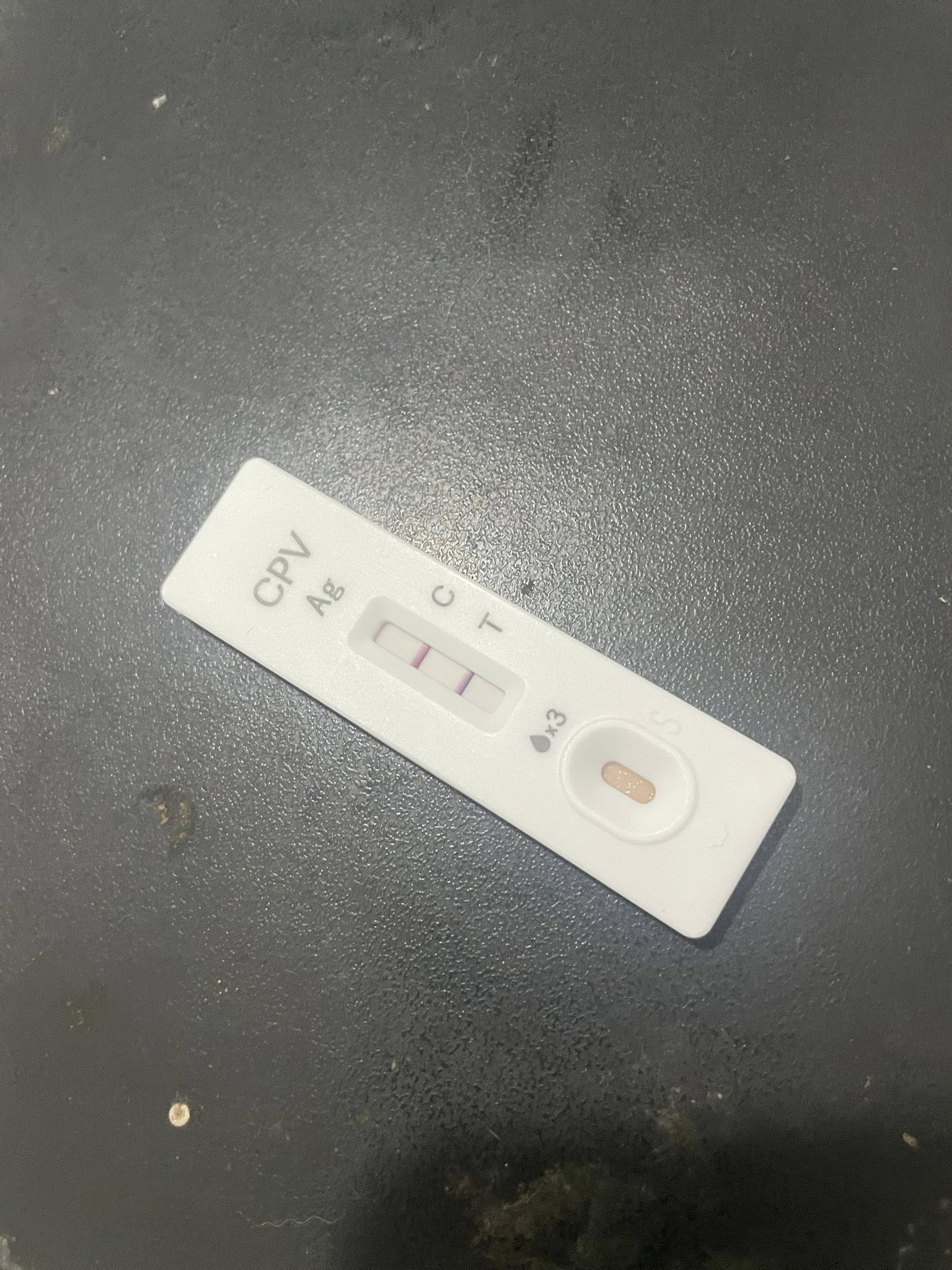 [🆕🇻🇳] Sóc Pet Shop Mua Bán Thú Cưng Spa Phụ Kiện Thức Ăn Phối Giống Chó Mèo 🐶🦜 Top1Pets 🐱🐠 Phụ kiện cho thú cưng
19 nguyễn viết xuân bmt đak lak
#thucung #daklak47 #phukienthucung
#chómèo #meow #BMT #daklak
, shares-0✔️ , likes-1❤️️ , date-2025-10-04 01:50:42🐶🐱🇻🇳🇻🇳🇻🇳📰🆕