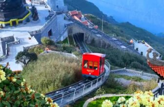 [🆕🇻🇳] Phượt  ✈ Top1Travel 🌏✈️ Ngắm mùa hoa đỗ quyên tuyệt đẹp ở Fansipan, Sapa  , shares-0✔️ , likes-98❤️️ , date-2025-10-05 18:00:55🇻🇳🇻🇳🇻🇳📰🆕