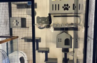 [🆕🇻🇳] NÂU PET SHOP – Chuyên sản xuất chuồng gỗ cho thú cưng, cattree, đồ chơi cho chó, mèo 🐶🦜 Top1Pets 🐱🐠 Hoàn thành xong một căn phòng cho mèo siêu to khổng lồ, chị chủ chịu chơi thật , cho tụi nó nguyên 1 khu luôn.
𝘐𝘯𝘣𝘰𝘹 𝘩𝘰𝘢̣̆𝘤 𝘢𝘥𝘥 𝘻𝘢𝘭𝘰 0909200695 đ𝘦̂̉ đ𝘶̛𝘰̛ , shares-0✔️ , likes-2❤️️ , date-2025-10-02 05:31:20🐶🐱🇻🇳🇻🇳🇻🇳📰🆕