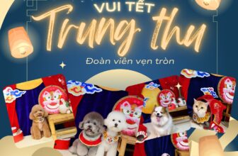 [🆕🇻🇳] Pet Store & Spa – Nhà Phô Mai – The home for pets 🐶🦜 Top1Pets 🐱🐠 Đ𝐚̣̂𝐮 𝐱𝐚𝐧𝐡, 𝐭𝐫𝐮̛́𝐧𝐠 𝐦𝐮𝐨̂́𝐢, 𝐭𝐡𝐚̣̂𝐩 𝐜𝐚̂̉𝐦
𝐋𝐚̂̉𝐦 𝐧𝐡𝐚̂̉𝐦 𝐭𝐫𝐨𝐧𝐠 đ𝐚̂̀𝐮 𝐥𝐚̀𝐦 𝐜𝐡𝐢, 𝐪𝐮𝐚 𝐍𝐡𝐚̀ 𝐏𝐡𝐨̂ 𝐌𝐚𝐢 𝐥𝐮̛̣𝐚 𝐧𝐞̀
Vào các ngày 4-5-6/10, 𝐍𝐡𝐚̀ có chuẩn bị bánh Trung , shares-1✔️ , likes-9❤️️ , date-2025-10-04 16:13:56🐶🐱🇻🇳🇻🇳🇻🇳📰🆕