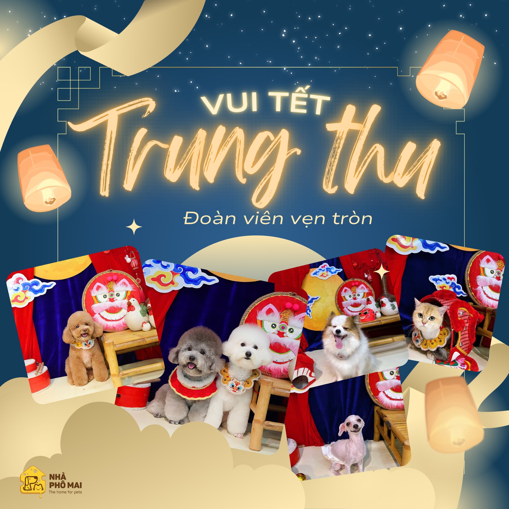 [🆕🇻🇳] Pet Store & Spa – Nhà Phô Mai – The home for pets 🐶🦜 Top1Pets 🐱🐠 Đ𝐚̣̂𝐮 𝐱𝐚𝐧𝐡, 𝐭𝐫𝐮̛́𝐧𝐠 𝐦𝐮𝐨̂́𝐢, 𝐭𝐡𝐚̣̂𝐩 𝐜𝐚̂̉𝐦
𝐋𝐚̂̉𝐦 𝐧𝐡𝐚̂̉𝐦 𝐭𝐫𝐨𝐧𝐠 đ𝐚̂̀𝐮 𝐥𝐚̀𝐦 𝐜𝐡𝐢, 𝐪𝐮𝐚 𝐍𝐡𝐚̀ 𝐏𝐡𝐨̂ 𝐌𝐚𝐢 𝐥𝐮̛̣𝐚 𝐧𝐞̀
Vào các ngày 4-5-6/10, 𝐍𝐡𝐚̀ có chuẩn bị bánh Trung , shares-1✔️ , likes-9❤️️ , date-2025-10-04 16:13:56🐶🐱🇻🇳🇻🇳🇻🇳📰🆕