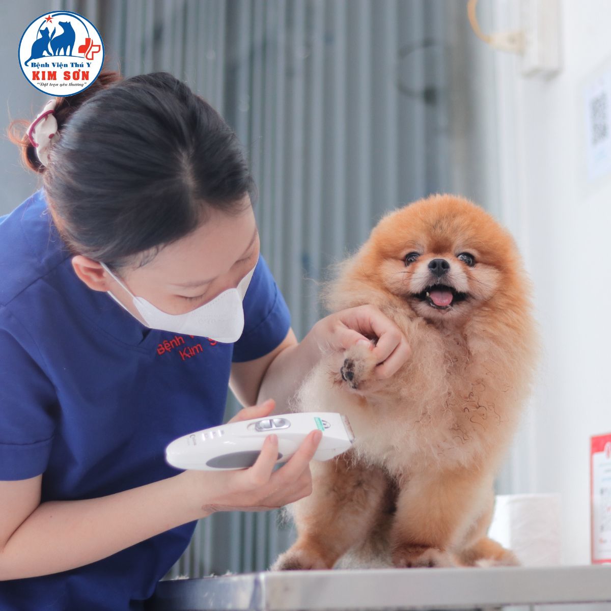 [🆕🇻🇳] Bệnh Viện Thú Y Kim Sơn Quận 3 🐶🦜 Top1Pets 🐱🐠 Một ngày tràn đầy năng lượng tại Thú y Kim Sơn
Các bé đến khám, tiêm ngừa, tắm spa, phẫu thuật và điều trị đều được bác sĩ chăm sóc tận tình từng chút một , shares-0✔️ , likes-2❤️️ , date-2025-10-24 01:39:03🐶🐱🇻🇳🇻🇳🇻🇳📰🆕
