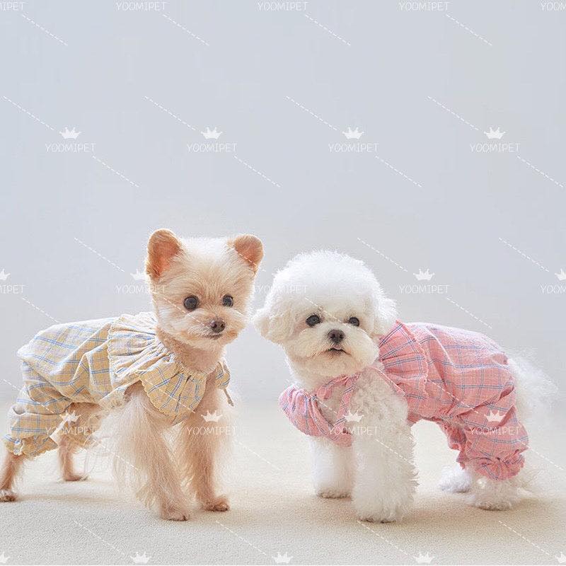 [🆕🇻🇳] YOO MI PET SHOP – Quần Áo Thú Cưng 🐶🦜 Top1Pets 🐱🐠 Items đơn giản mà trông sang quá ạ, cả cành ntn diện đẹp hết nấc
, shares-0✔️ , likes-5❤️️ , date-2025-10-08 01:23:04🐶🐱🇻🇳🇻🇳🇻🇳📰🆕