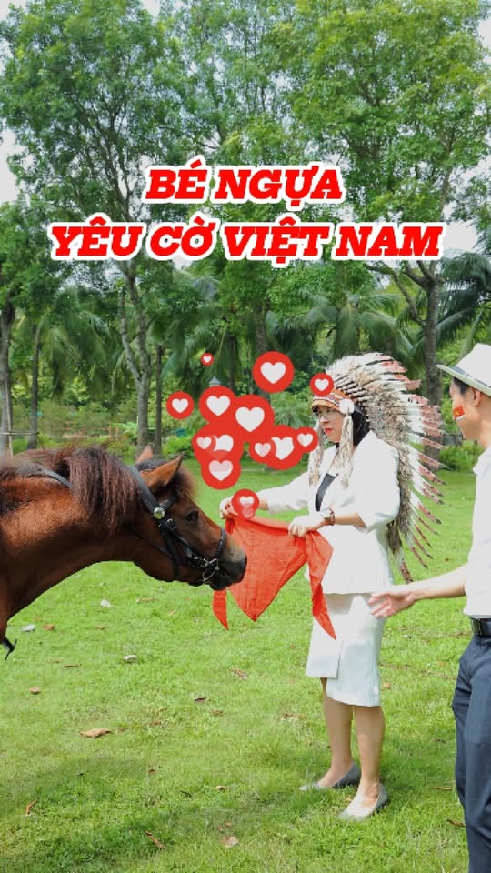 [🆕🇻🇳] PKC Pet Center – Phòng khám thú y PKC Pet Center thuộc Trung tâm dịch vụ thú cưng PKC Pet Center 🐶🦜 Top1Pets 🐱🐠  ĐỪNG NGHĨ NGỰA TO ĐẸP CHỈ CÓ Ở NƯỚC NGOÀI – VIỆT NAM CŨNG CÓ!Nhiều người vẫn nghĩ rằng để ngắm những chú ngựa to, đẹp, thuần hóa thì chỉ có thể đi nước  , shares-0✔️ , likes-12❤️️ , date-2025-10-02 21:00:49🐶🐱🇻🇳🇻🇳🇻🇳📰🆕