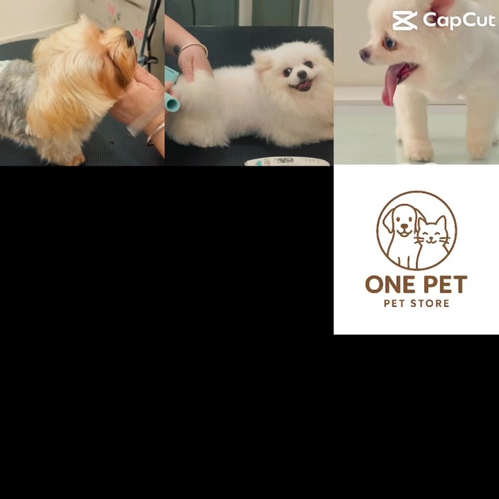 [🆕🇻🇳] ONE PET – Spa & Hotel Thú Cưng 🐶🦜 Top1Pets 🐱🐠  Bạn tắm cho bé  ở nhà nhanh bị hôi.
Lông đã dài cần cắt tỉa tạo kiểu.
Bạn cần gửi Cún , Miu khi vắng nhà.
One Pet Spa & Hotel – Dịch vụ chăm sóc thú cưn , shares-0✔️ , likes-84❤️️ , date-2025-10-03 18:16:06🐶🐱🇻🇳🇻🇳🇻🇳📰🆕