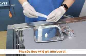 [🆕🇻🇳] Bệnh viện Thú Y 2Vet – Số 3 Văn Cao 🐶🦜 Top1Pets 🐱🐠  “Nuôi cún mèo con bằng sữa bình tưởng dễ mà không dễ. Cho bú sai cách có thể làm bé sặc, viêm phổi.
Xem ngay video này để trở thành ‘bố mẹ bỉm sữa 4 chân , shares-0✔️ , likes-1❤️️ , date-2025-10-03 17:00:12🐶🐱🇻🇳🇻🇳🇻🇳📰🆕