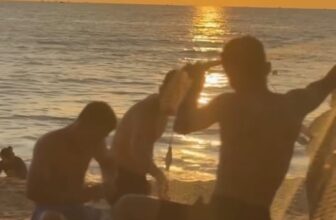 [🆕🇻🇳] JOHNS TOURS PHU QUOC  ✈ Top1Travel 🌏✈️ Vẻ đẹp thanh bình của một buổi chiều trên đảo Phú Quốc.
The peaceful beauty of a sunset on Phu Quoc Island.#JohnsTours #JohnstoursPhuQuoc #PhuQuoc #PhuQu , shares-0✔️ , likes-26❤️️ , date-2025-10-05 00:28:37🇻🇳🇻🇳🇻🇳📰🆕