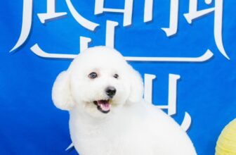 [🆕🇻🇳] PetGrocer.vn – Dịch vụ thú cưng – Vật phẩm dành cho thú cưng 🐶🦜 Top1Pets 🐱🐠   Spa   rồi đi chơi Trung Thu nàoSpa tại Grocer có gì đặc biệt
– Cam kết chất lượng tắm, cắt tiêu chuẩn cao cấp.
– Bảo hành dịch vụ đến khi hài lòng , shares-0✔️ , likes-8❤️️ , date-2025-10-08 02:00:07🐶🐱🇻🇳🇻🇳🇻🇳📰🆕