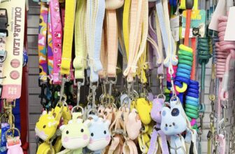 [🆕🇻🇳] Bủm PetShop Nha Trang 🐶🦜 Top1Pets 🐱🐠 Dây dắt, vòng cổ về nhiều mẫu mã siêu cute và chắc chắn, dây dắt phát sáng dành cho các bé lớn kí có đầy đủ cả nhé mọi người.Đặc biệt: Bumper Petshop là , shares-0✔️ , likes-6❤️️ , date-2025-10-05 03:33:28🐶🐱🇻🇳🇻🇳🇻🇳📰🆕