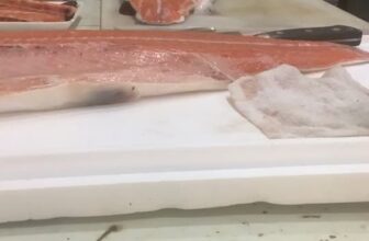 [🆕🇻🇳] Cá Hồi NaUy GT Thái Nguyên – Cá hồi tươi nhập khẩu trực tiếp từ Nauy bằng máy bay 🍔 Top1Food  🍜  , shares-0✔️ , likes-0❤️️ , date-2025-10-02 13:17:05🇻🇳🇻🇳🇻🇳📰🆕