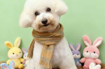 [🆕🇻🇳] Alo Pet – Mỹ Tho 🐶🦜 Top1Pets 🐱🐠 Con ải con ai
Lần đầu được cắt lông của bé Bơ Béo
, shares-1✔️ , likes-6❤️️ , date-2025-10-16 01:18:39🐶🐱🇻🇳🇻🇳🇻🇳📰🆕