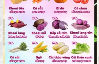 [🆕🇻🇳] Tabikids  (Shop mẹ bé) – chuyên cung cấp Bỉm Sữa và đồ dùng CHÍNH HÃNG cho các bé từ sơ sinh đến 3 tuổi 🧑‍🧒❤️️👶⭐️ Mẹ tham khảo thứ tự bổ sung rau củ cho bé nhé
Nguồn: stSản phẩm được bán tại :  #tabikids #shopmevabe
– – – – – – – — –  – – — –
TABI KIDS – SHOP MẸ  , shares-0✔️ , likes-3❤️️ , date-2025-10-09 14:14:43🇻🇳🇻🇳🇻🇳📰🆕