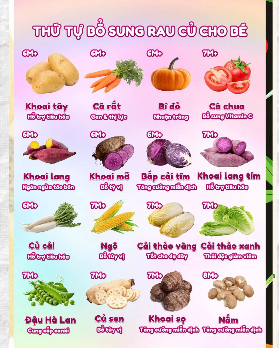 [🆕🇻🇳] Shop 2Gà Con HN-Đồ Sơ Sinh Trọn Gói 🧑‍🧒❤️️👶⭐️ Bộ dài thun lạnh cúc bấm tông Hồng cho các Mom có cô Công chúa nhỏo1 bộ chỉ 55k, 3b 144k mà các Mom mua 5b quá hời luôn chỉ 225k
, shares-0✔️ , likes-1❤️️ , date-2025-10-09 14:30:01🇻🇳🇻🇳🇻🇳📰🆕