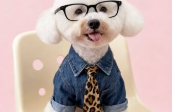 [🆕🇻🇳] Đảo Thú Cưng – Long Thành 🐶🦜 Top1Pets 🐱🐠  𝑵𝒉𝒂̀ 𝒏𝒂̀𝒚 𝒂𝒊 𝒍𝒂̀ 𝒏𝒐́𝒄? Đ𝒖̛𝒐̛𝒏𝒈 𝒏𝒉𝒊𝒆̂𝒏 𝒍𝒂̀ 𝒄𝒂́𝒊 𝑴𝒂̂́𝒚 𝒆𝒎  4 𝒄𝒉𝒂̂𝒏 đ𝒊 𝒌𝒉𝒂̆́𝒑 𝒏𝒉𝒂̀ 𝒓𝒐̂̀𝒊..
𝙶𝚑𝚎́ 𝚗𝚑𝚊̀ Đ𝙰̉𝙾 𝚑𝚘̂𝚖 𝚗𝚊𝚢 𝘯𝘩𝘦́ …
#Tắm_cắttỉa_nhuộmlông_thúcưngĐ , shares-0✔️ , likes-3❤️️ , date-2025-10-11 15:08:14🐶🐱🇻🇳🇻🇳🇻🇳📰🆕