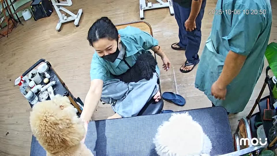 [🆕🇻🇳] MÁ SEN – Tiệm Tóc Thú Cưng 🐶🦜 Top1Pets 🐱🐠 Niềm zui của tiệm tui là được chọc mấy đứa mụp  , shares-0✔️ , likes-28❤️️ , date-2025-10-06 17:32:28🐶🐱🇻🇳🇻🇳🇻🇳📰🆕