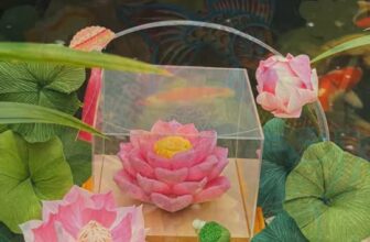 [🆕🇻🇳] MẦM BABY-Chuyên đồ gia đình 0-100kg và Quần áo cho bé từ 0-6 tuổi 🧑‍🧒❤️️👶⭐️ Dưới sắc trăng rằm tháng Tám, oản Trung Thu Tâm Hoa Đạo vừa là một lễ phẩm, vừa chính là kết tinh của sự thành kính và ước nguyện an lành từ các gia đình.  , shares-0✔️ , likes-3❤️️ , date-2025-10-06 21:50:29🇻🇳🇻🇳🇻🇳📰🆕