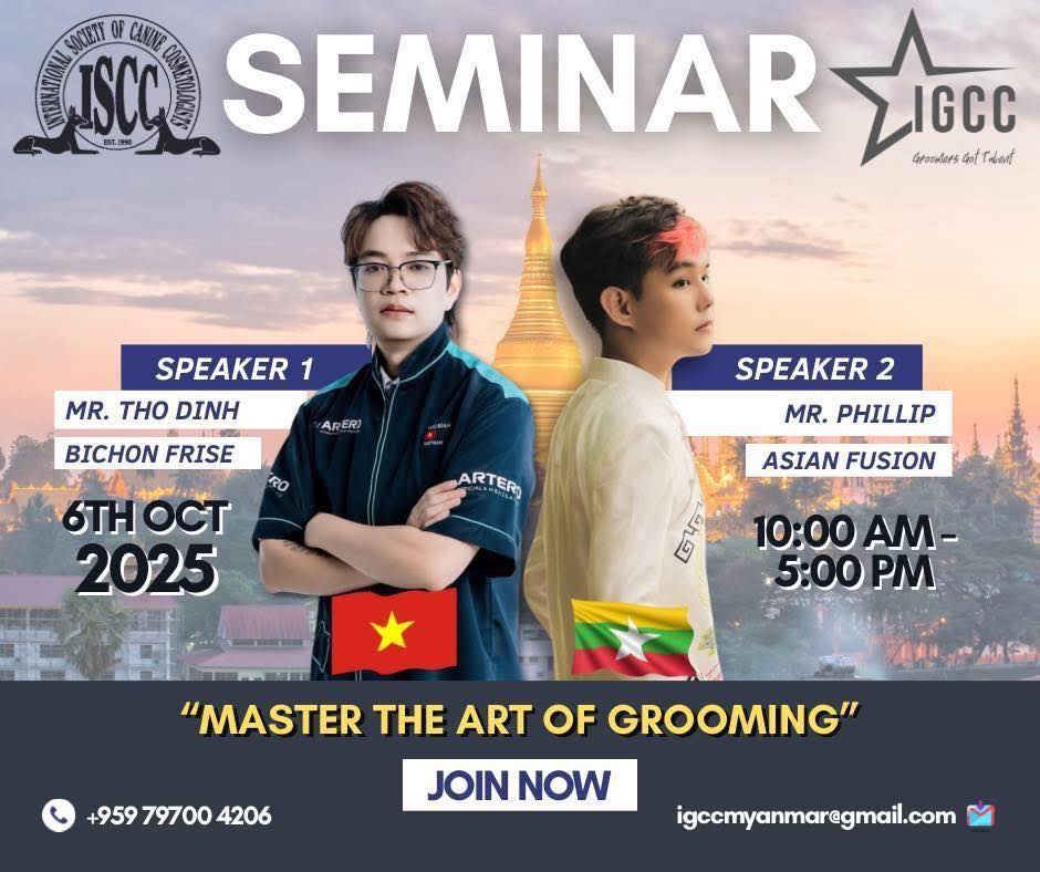 [🆕🇻🇳] Học viện cắt tỉa lông Quốc tế – Queen Pet International Grooming Academy 🐶🦜 Top1Pets 🐱🐠  My seminar on Bichon Show Clip and Asian Style with my brother Han Lin Aung, was a great success!
We sincerely thank everyone for coming and supporting u , shares-0✔️ , likes-4❤️️ , date-2025-10-08 19:51:15🐶🐱🇻🇳🇻🇳🇻🇳📰🆕