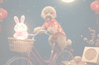 [🆕🇻🇳] Quynh Le Pet Spa  🐶🦜 Top1Pets 🐱🐠 Tập đoàn nhà con đón trung thu trễ 1 nhịp ạ!!!!
Chúc cả nhà sau trung thu vui vẻ ạ  , shares-0✔️ , likes-2❤️️ , date-2025-10-08 02:28:31🐶🐱🇻🇳🇻🇳🇻🇳📰🆕