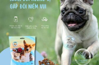 [🆕🇻🇳] Pet Vet 🐶🦜 Top1Pets 🐱🐠 Xương gậm cho các boss
, shares-0✔️ , likes-0❤️️ , date-2025-10-10 00:54:53🐶🐱🇻🇳🇻🇳🇻🇳📰🆕