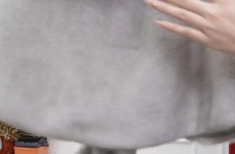 [🆕🇻🇳] Bella Moda Nam Định – Thiết kế & Thời trang 👕 Top1Fashion 👗   , shares-0✔️ , likes-6❤️️ , date-2025-10-08 04:44:40🇻🇳🇻🇳🇻🇳📰🆕