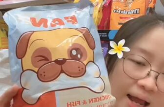 [🆕🇻🇳] Nhà Chó Mèo – Pet Shop – Pet Hotel  🐶🦜 Top1Pets 🐱🐠 Hạt Cho Cún Fandog vị Gà,Cá,Hồng Sâm
#nhachomeo #Fandog #hạt  #chó , shares-0✔️ , likes-9❤️️ , date-2025-10-09 14:35:00🐶🐱🇻🇳🇻🇳🇻🇳📰🆕