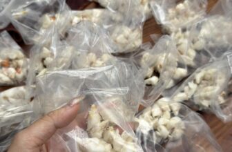 [🆕🇻🇳] Giò Chả Nhà Nếp-Lò chả gia truyền chuyên các loại chả 🍔 Top1Food  🍜 Ngày mai Nếp có xôi cua sớm mọi người lên đơn nhé!Nói không với cua đông lạnh1p xôi cua 99K
Cua thêm 30KVì cua tươi nên giá không thể rẻ được mọi ngư , shares-0✔️ , likes-3❤️️ , date-2025-10-08 01:13:08🇻🇳🇻🇳🇻🇳📰🆕