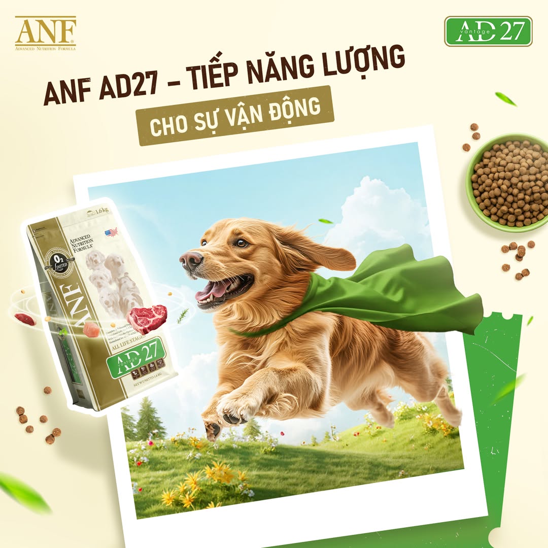 [🆕🇻🇳] ANF Việt Nam – Thức ăn cao cấp dành cho chó mèo sản xuất tại Hàn Quốc 🐶🦜 Top1Pets 🐱🐠  Bắt đầu ngày mới bằng một cú “bứt tốc” tràn năng lượng cùng ANF AD27!
Công thức dinh dưỡng cân bằng giúp Boss luôn:
Khỏe mạnh – Linh hoạt – Dẻo dai từng  , shares-0✔️ , likes-20❤️️ , date-2025-10-22 17:00:33🐶🐱🇻🇳🇻🇳🇻🇳📰🆕