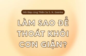 [🆕🇻🇳] YogaVietnam.vn 🧘 Top1Yoga 🤸🏻‍♀️ HỎI – ĐÁP CÙNG THIỀN SƯ GOENKAHỏi: Làm thế nào để thoát khỏi giận dữ?
Đáp: Đây là điều mà Vipassana sẽ dạy cho con. Quan sát cơn giận, và con sẽ thoát  , shares-0✔️ , likes-5❤️️ , date-2025-10-13 13:30:13🇻🇳🇻🇳🇻🇳📰🆕