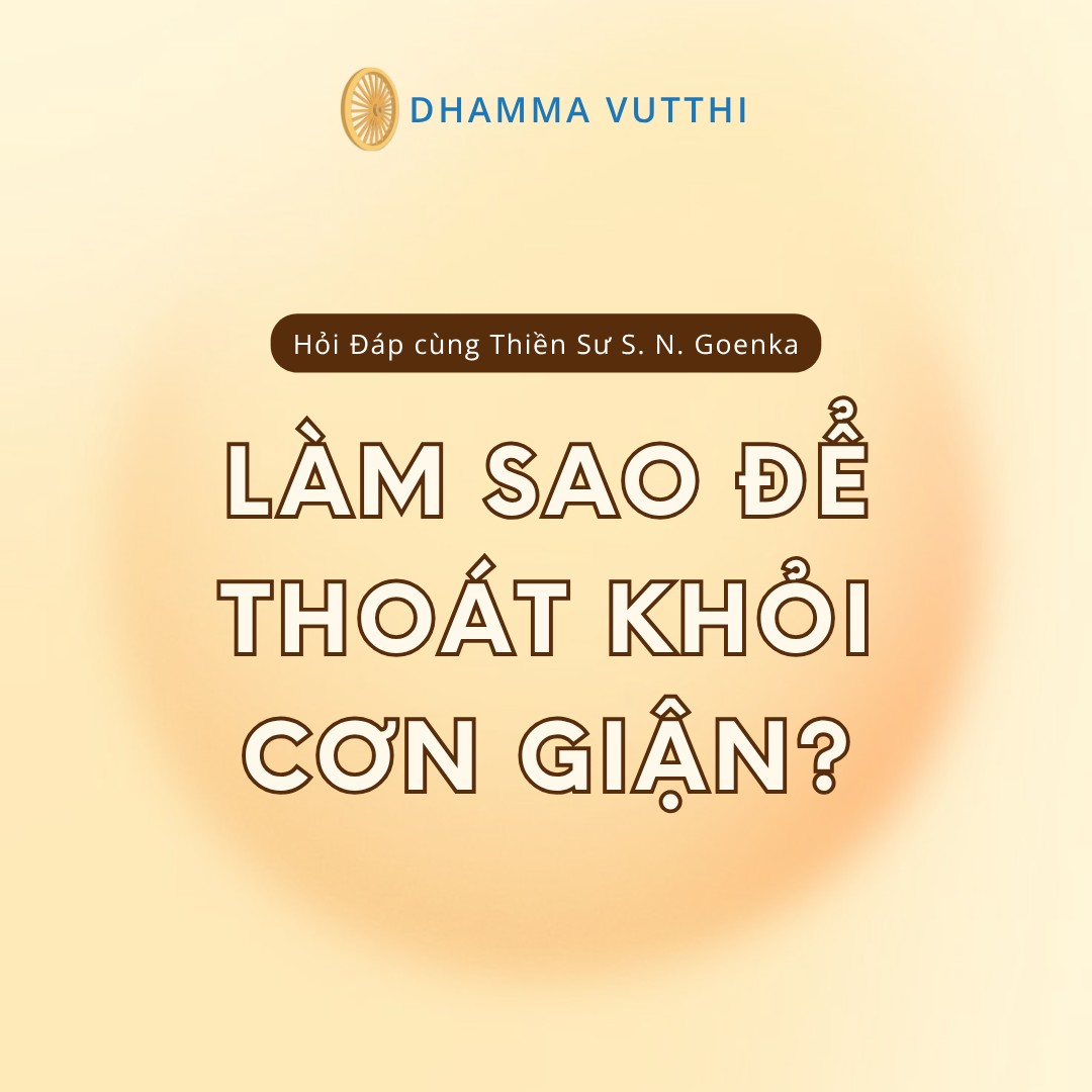 [???] QT Fitness & Yoga Yên Viên ? Top1Yoga ??‍♀️ CHƯƠNG TRÌNH ĐẶC BIỆT “CHUYẾN TÀU THANH XUÂN”
“Năm 2025 – Chuyến tàu của thanh xuân đã chính thức lăn bánh, đây không chỉ là một cột mốc thời gian, mà là  , shares-32✔️ , likes-8❤️️ , date-2025-10-13 14:27:34????????