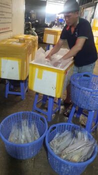 [🆕🇻🇳] Tôm Hùm Việt – Chuyên cung cấp sỉ tôm hùm cho các vựa, nhà hàng khách sạn 🍔 Top1Food  🍜  #Tôm_Hùm_Đông_Lạnh đi sll mỗi ngày  Chất lượng giá cả cạnh tranh 
Tuyển sỉ toàn quốc alo e ngay
 0865651065
 , shares-0✔️ , likes-2❤️️ , date-2025-10-10 15:47:52🇻🇳🇻🇳🇻🇳📰🆕