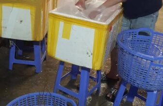 [🆕🇻🇳] Tôm Hùm Việt – Chuyên cung cấp sỉ tôm hùm cho các vựa, nhà hàng khách sạn 🍔 Top1Food  🍜  #Tôm_Hùm_Đông_Lạnh đi sll mỗi ngày  Chất lượng giá cả cạnh tranh
Tuyển sỉ toàn quốc alo e ngay
0865651065
, shares-0✔️ , likes-2❤️️ , date-2025-10-10 15:47:52🇻🇳🇻🇳🇻🇳📰🆕