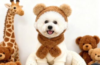 [🆕🇻🇳] Teddy Pet – Tiệm Chăm Sóc Thú Cưng 🐶🦜 Top1Pets 🐱🐠 Mời khách qua e đẹp ạ
, shares-0✔️ , likes-1❤️️ , date-2025-10-17 19:34:21🐶🐱🇻🇳🇻🇳🇻🇳📰🆕