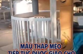 [🆕🇻🇳] Cat House – Khách Sạn Thú Cưng Số 1 Việt Nam 🐶🦜 Top1Pets 🐱🐠 Tháp mèo tiếp tục được chuyển đến khách hàng phục vụ khách yêu
#cathouse #thapmeo #bietthumeo #villameo , shares-0✔️ , likes-2❤️️ , date-2025-10-09 02:43:16🐶🐱🇻🇳🇻🇳🇻🇳📰🆕