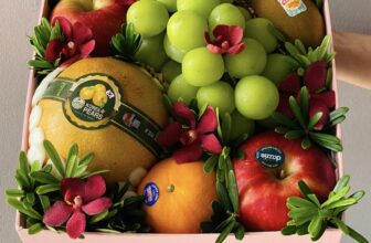 [🆕🇻🇳] Melon Garden – GlobalGap-Thế giới dưa lưới và thực phẩm sạch hữu cơ  🍔 Top1Food  🍜 Chương trình 20/10:Tiệm làm mẫu quà tặng cho Thầy cô giáo với giá rất hợp lý:Mẫu hộp hồng vuông: 500k (chưa bao gồm VAT)Chương trình 20/10:Tiệm  , shares-0✔️ , likes-0❤️️ , date-2025-10-16 20:44:12🇻🇳🇻🇳🇻🇳📰🆕