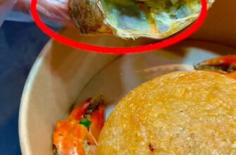 [🆕🇻🇳] Ốc Kênh Tẻ – Chuyên phục vụ các loại nghêu, sò, ốc tươi ngon các loại 🍔 Top1Food  🍜 Sự cố hay là bằng chứng của một phần xôi cua xịn sò đây ạ
#haisan #Xôi #cuacamau #ockenhte , shares-0✔️ , likes-102❤️️ , date-2025-10-08 22:50:58🇻🇳🇻🇳🇻🇳📰🆕