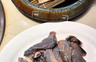 [🆕🇻🇳] ASHIMA MUSHROOM HOTPOT là chuỗi nhà hàng LẨU NẤM THIÊN NHIÊN 🍔 Top1Food 🍜 ĐẦU TUẦN CÓ HẸN VỚI ASHIMAKhởi động tuần mới tràn đầy năng lượng bên những set lẩu bổ dưỡng, healthy.Một nồi lẩu nấm nóng hổi, ngọt thanh từ cốt nấm t , shares-0✔️ , likes-8❤️️ , date-2025-10-13 22:34:15🇻🇳🇻🇳🇻🇳📰🆕