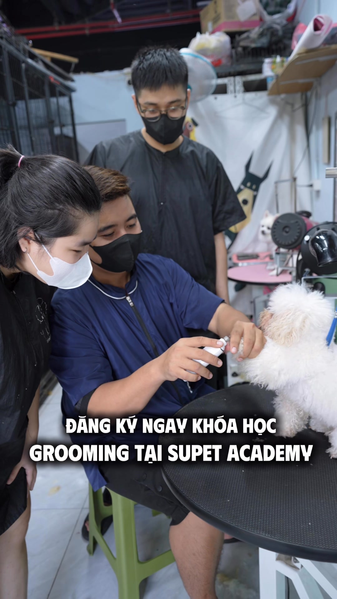 [🆕🇻🇳] Su PetShop – Đào Tạo Học Viên Cắt Tỉa Thú Cưng 🐶🦜 Top1Pets 🐱🐠 ud83cudfaf Bu1ea0N Yu00caU THu00da Cu01afNG? MUu1ed0N THEO NGHu1ec0 CHu0102M Su00d3C THu00da Cu01afNG u0110ANG u201cHOTu201d NHu1ea4T HIu1 , shares-0✔️ , likes-20❤️️ , date-2025-10-09 21:52:49🐶🐱🇻🇳🇻🇳🇻🇳📰🆕