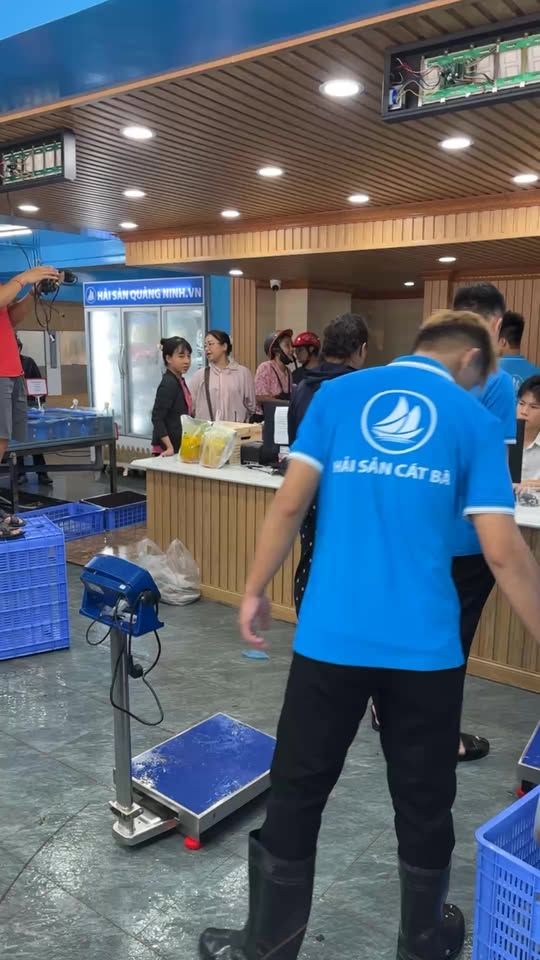 [🆕🇻🇳] Trọng Hải Sản – Chuyên bán buôn, bán lẻ các mặt hàng hải sản tươi sống số 1 Việt Nam 🍔 Top1Food  🍜 Cơ sở Hải Phòng ngày 9/10 , shares-0✔️ , likes-40❤️️ , date-2025-10-09 17:26:50🇻🇳🇻🇳🇻🇳📰🆕