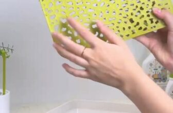 [🆕🇻🇳] Boon Việt Nam – Đại Diện Phân Phối Độc Quyền Boon Tại Việt Nam 🧑‍🧒❤️️👶⭐️  𝐂𝐨𝐦𝐛𝐨 𝐚𝐧 𝐭𝐨𝐚̀𝐧, 𝐭𝐢𝐞̣̂𝐧 𝐥𝐨̛̣𝐢 đ𝐚́𝐧𝐡 𝐛𝐚𝐲 𝐦𝐨̣𝐢 𝐯𝐢 𝐤𝐡𝐮𝐚̂̉𝐧 𝐜𝐨́ 𝐡𝐚̣𝐢 – 𝐁𝐚̉𝐨 𝐯𝐞̣̂ 𝐬𝐮̛́𝐜 𝐤𝐡𝐨𝐞̉ 𝐛𝐞́ 𝐭𝐨̂́𝐭 𝐧𝐡𝐚̂́𝐭.
𝐵𝑜̣̂ 𝑔𝑖𝑎́ 𝑢́𝑝 𝑏𝑖̀𝑛ℎ 𝑠𝑢̛̃𝑎 𝐵𝑜𝑜𝑛 𝐺𝑅𝐴𝑆𝑆.
Giá úp  , shares-0✔️ , likes-0❤️️ , date-2025-10-09 15:45:30🇻🇳🇻🇳🇻🇳📰🆕